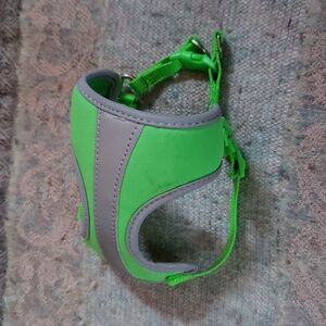 Kitten or small cat safety harness with reflective stripes